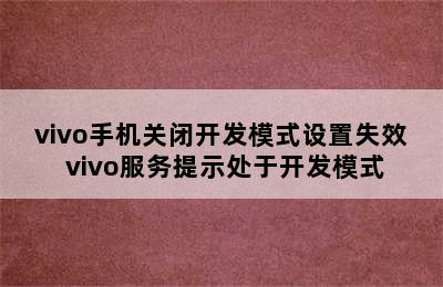 vivo手机关闭开发模式设置失效 vivo服务提示处于开发模式